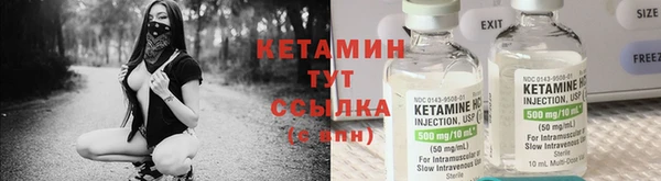 прущие грибы Арсеньев
